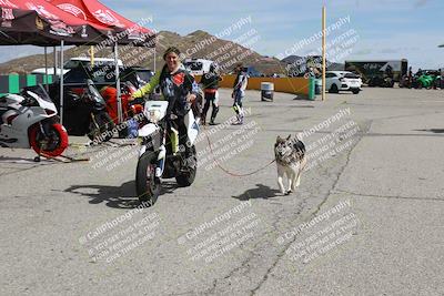 media/Mar-11-2023-2WTD (Sat) [[b6e677f740]]/Around the Pits/